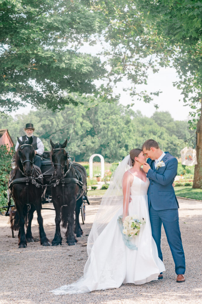 gorgeous bridal gown at wedding with horses