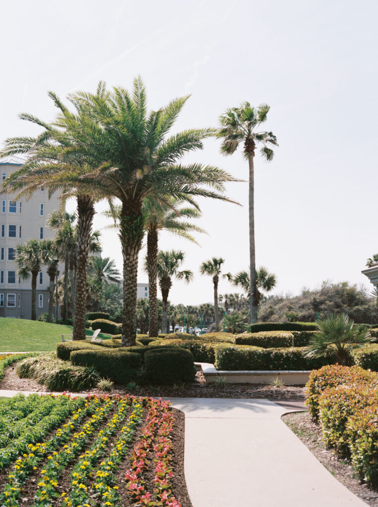 Film photo of the courtyard at the Ritz Carlton Amelia Island. 