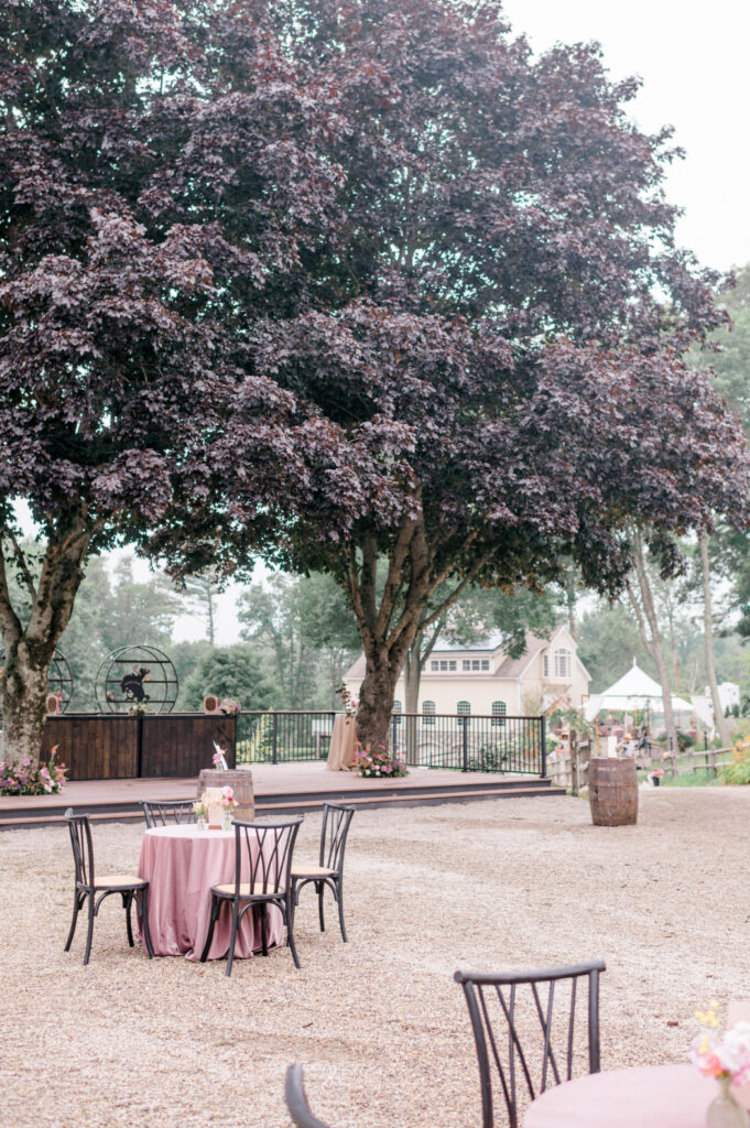 outdoor wedding reception at willow hill in CT