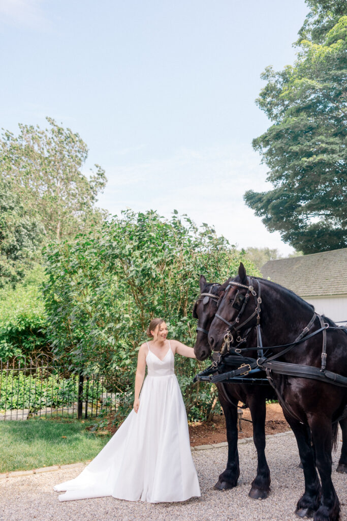 Bride smiling and petting a black carriage horse during outdoor portraits at Smith Farm Gardens