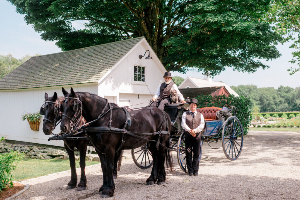 Two black horses and a traditional carriage with drivers in vintage attire stand ready at Smith Farm Gardens, offering a unique and elegant arrival moment for the couple’s garden wedding.