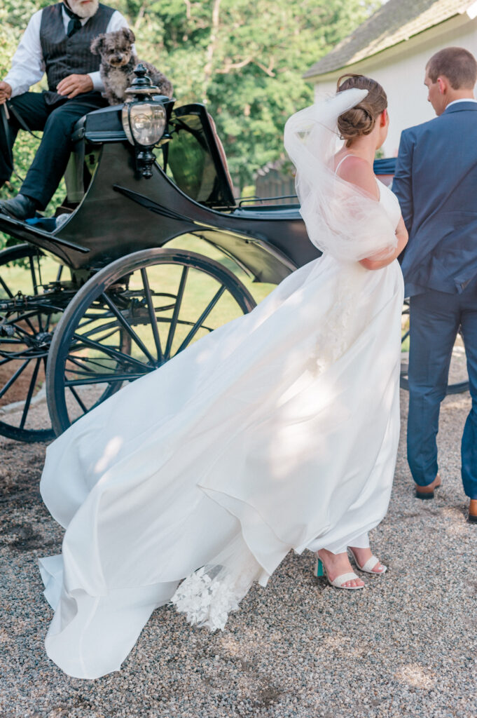 Candid wedding photo of bride with wind-blown veil approaching a classic horse-drawn carriage at Smith Farm Gardens.