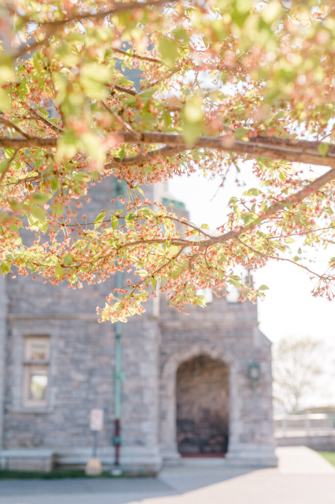 Spring blossoms framing the stone architecture of Branford House, highlighting seasonal wedding beauty